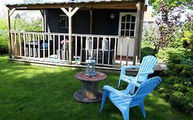 Natuurhuisje Met Veranda Bij De Molen Tussen Alkmaar En Hoorn